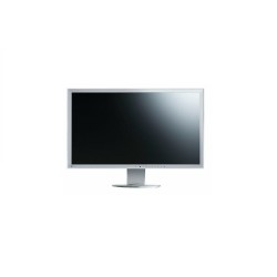 Монитор EIZO FlexScan S1961 - 41748